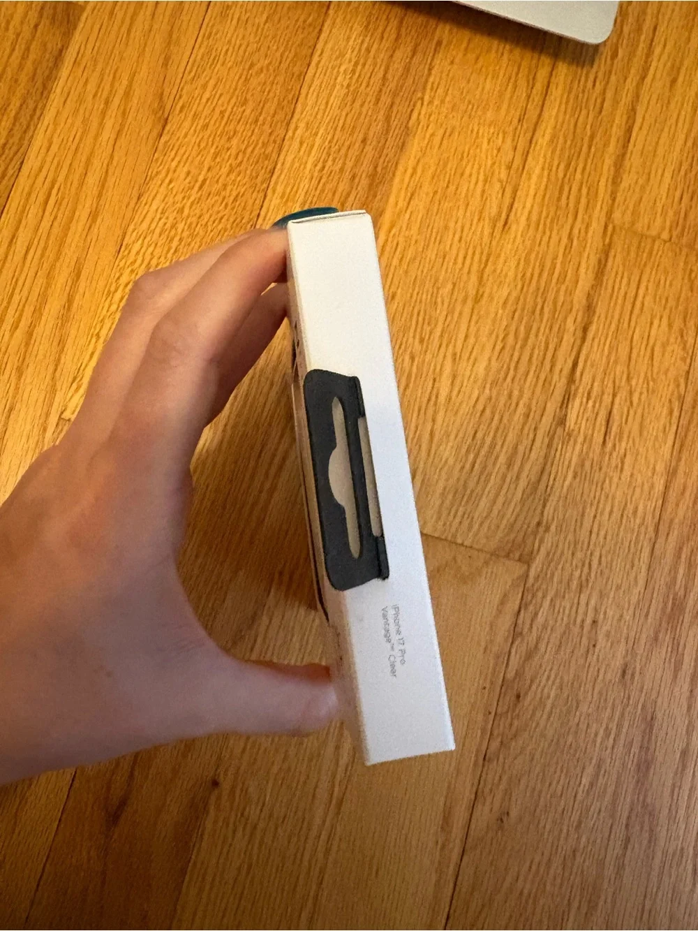 iPhone 17 Pro Nimbus Case